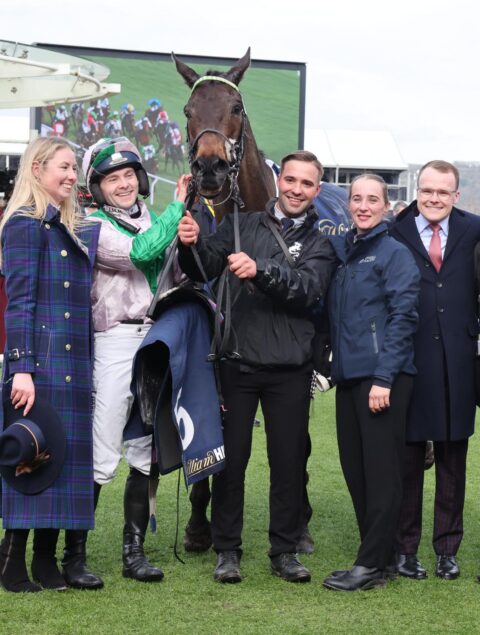 Wilful secures an amazing week at Cheltenham - O'Neill Racing
