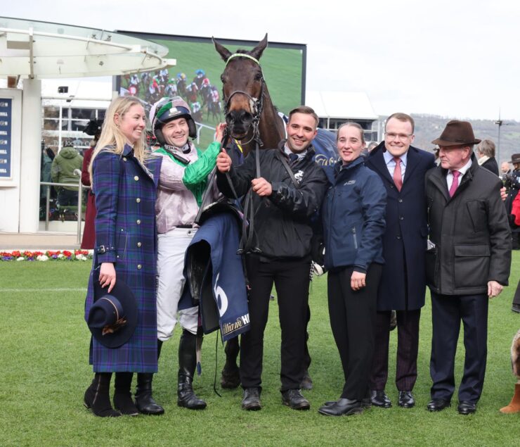 O'Neill Racing - Wilful secures an amazing week at Cheltenham
