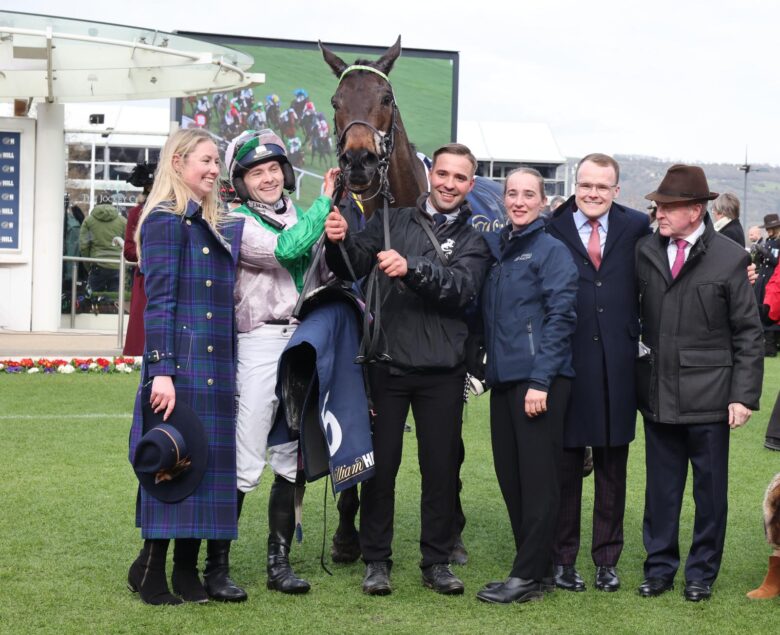 Wilful secures an amazing week at Cheltenham - O'Neill Racing
