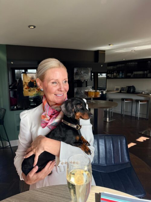 3c95f92a-1a6e-48a6-9c2c-3cb6f83d0225