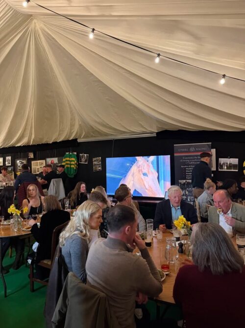 WhatsApp Image 2026-04-01 at 15.41.54 (1)