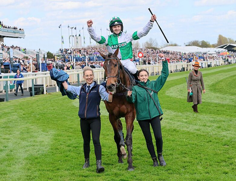 Wellington Arch wins at Aintree (again!) - O'Neill Racing
