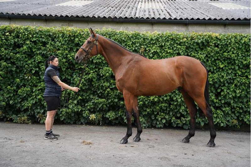 SOLD Telecaster ex Calinzana - O'Neill Racing