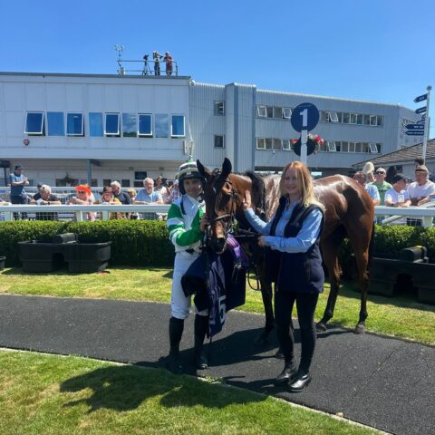 Likewhatyousee gets off the mark at Newton Abbot - O'Neill Racing