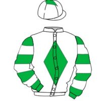 Likewhatyousee gets off the mark at Newton Abbot - silk