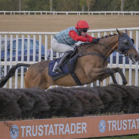 Royal Rhythm wins well at Worcester - O'Neill Racing