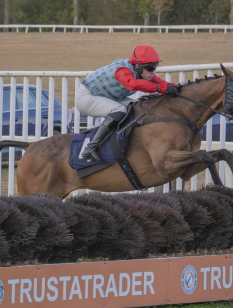 Royal Rhythm wins well at Worcester - O'Neill Racing