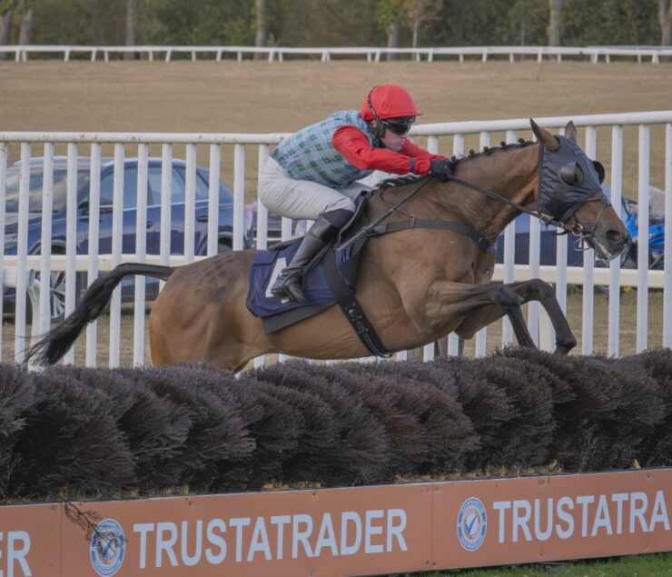 O'Neill Racing - Royal Rhythm wins well at Worcester
