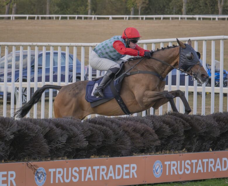 Royal Rhythm wins well at Worcester - O'Neill Racing