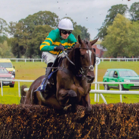 Crebilly wins at Worcester - O'Neill Racing