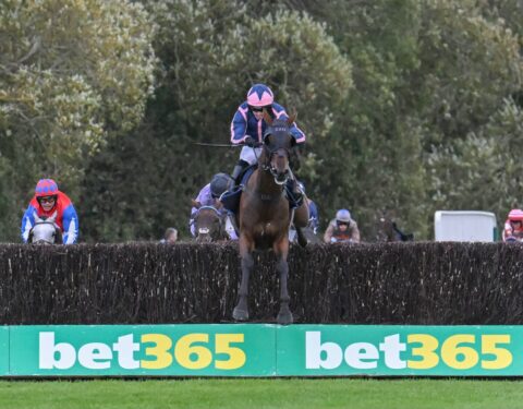 Gaelic Rambler makes it three on the day Uttoxeter - O'Neill Racing