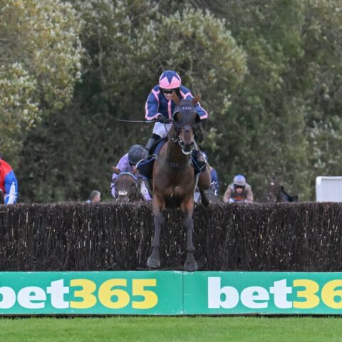 Gaelic Rambler makes it three on the day Uttoxeter - O'Neill Racing