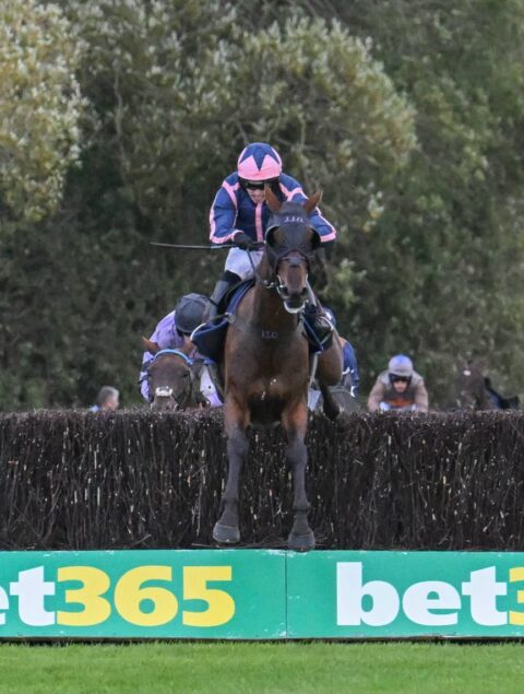 Gaelic Rambler makes it three on the day Uttoxeter - O'Neill Racing