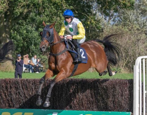 Mt Fugi Park wins again - O'Neill Racing