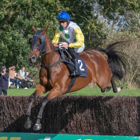 Mt Fugi Park wins again - O'Neill Racing