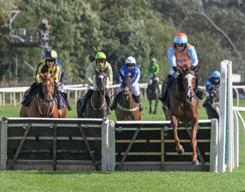 Nightflyer gets off the mark at Uttoxeter - O'Neill Racing