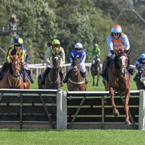 Nightflyer gets off the mark at Uttoxeter - O'Neill Racing