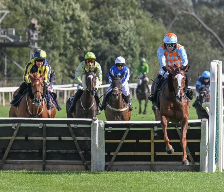 O'Neill Racing - Nightflyer gets off the mark at Uttoxeter