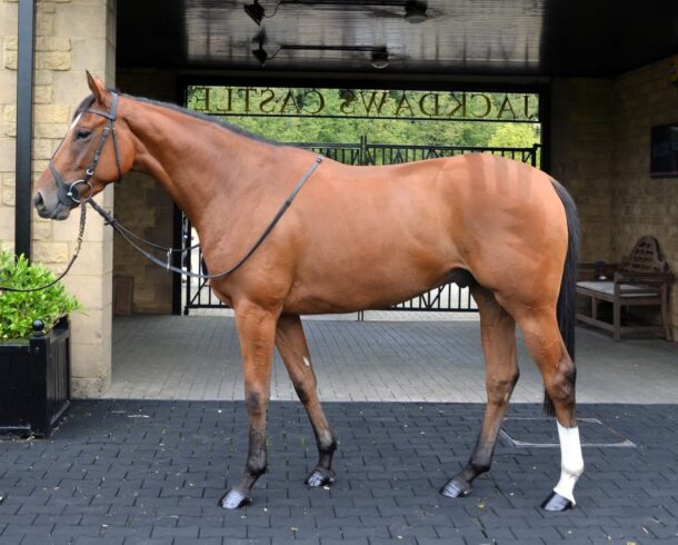 Crystal Ocean ex Ask Hazel - O'Neill Racing