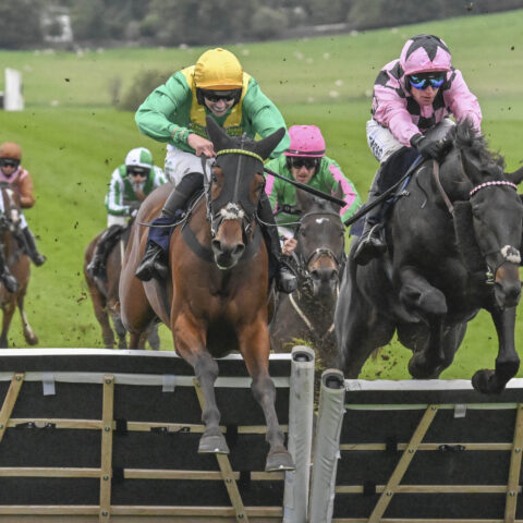 Gower Prince completes a great weekend at Cheptstow - O'Neill Racing