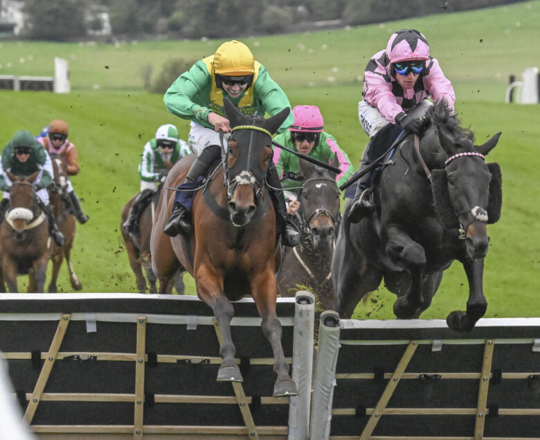 Gower Prince completes a great weekend at Cheptstow - O'Neill Racing