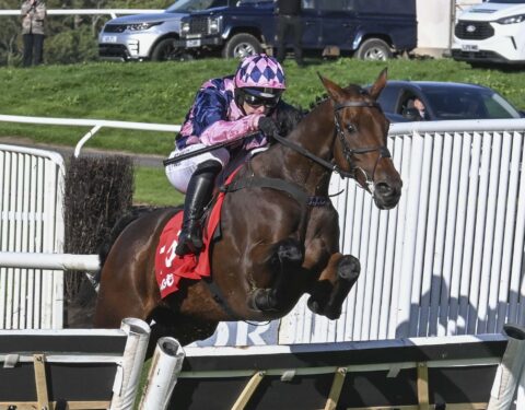 Pioneer Pete wins Welsh Champion Hurdle - O'Neill Racing
