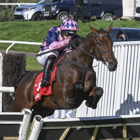 Pioneer Pete wins Welsh Champion Hurdle - O'Neill Racing