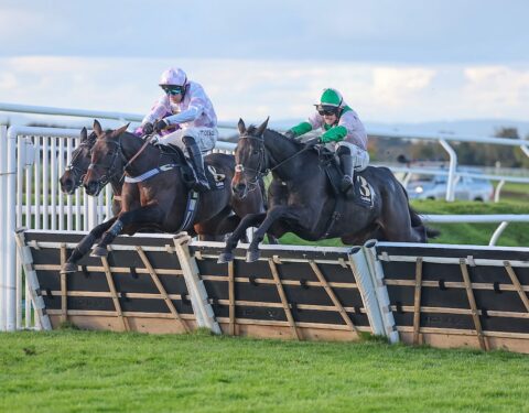 Wilful wins Listed Panoramic Hurdle at Carlisle - O'Neill Racing