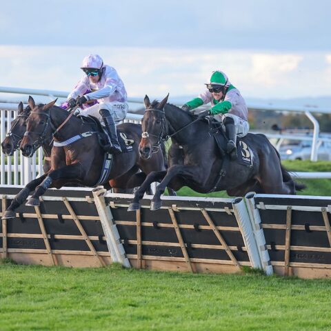 Wilful wins Listed Panoramic Hurdle at Carlisle - O'Neill Racing