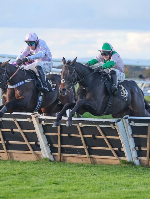 Wilful wins Listed Panoramic Hurdle at Carlisle - O'Neill Racing