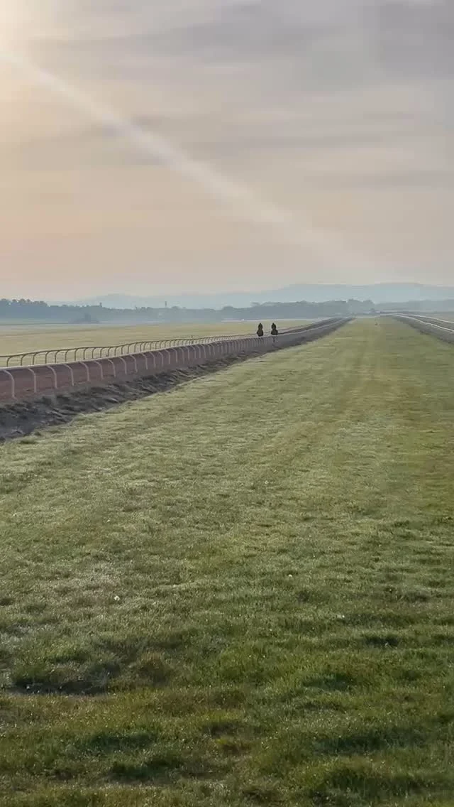 Boston Boy (near) and Bill Joyce enjoying a leg stretch at @curraghracecourse ahead of the @punchestownraces Festival.

A beautiful start to the day in Ireland.